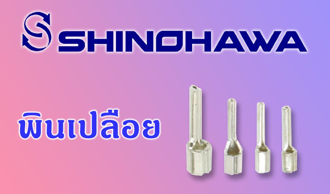 SHINOHAWA: พินเปลือย