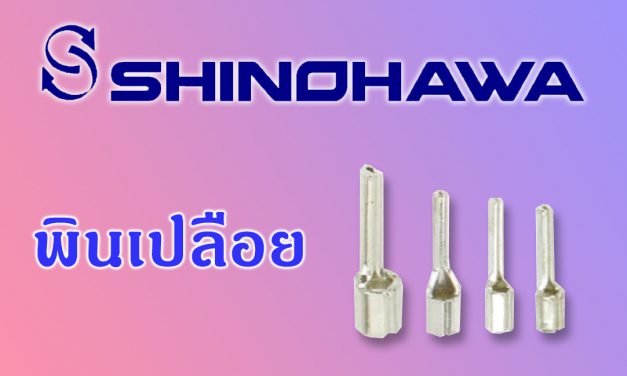 SHINOHAWA: พินเปลือย