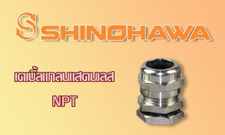 SHINOHAWA: เคเบิ้ลแกลนแสตนเลส-NPT