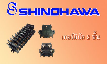 SHINOHAWA: เทอร์มินัล-2-ชั้น