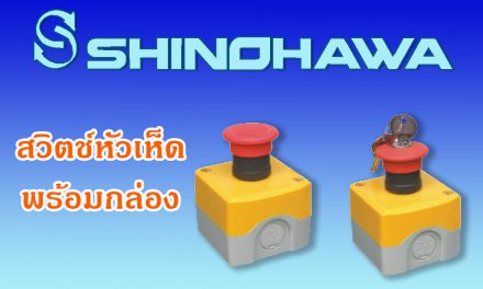 SHINOHAWA : สวิตช์หัวเห็ดพร้อมกล่อง