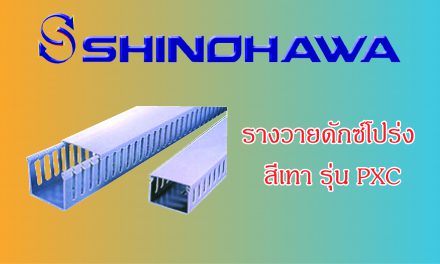 SHINOHAWA : รางวายดักซ์โปร่ง