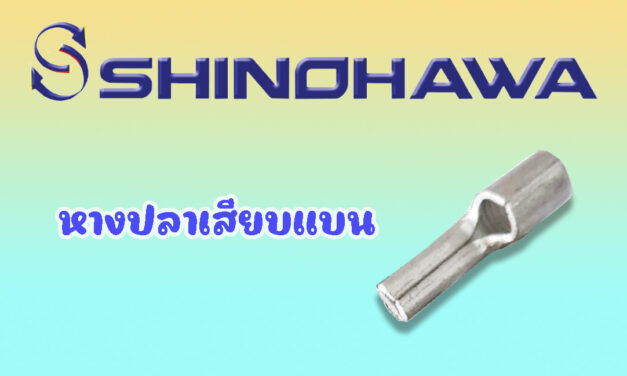 SHINOHAWA : หางปลาเสียบแบน